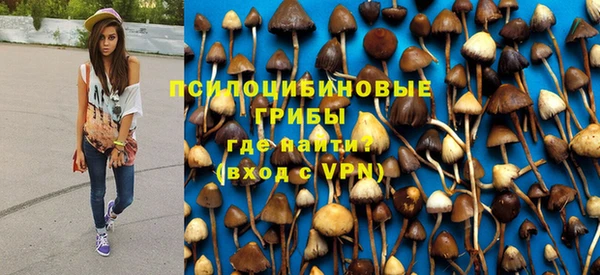 метамфетамин Алексеевка
