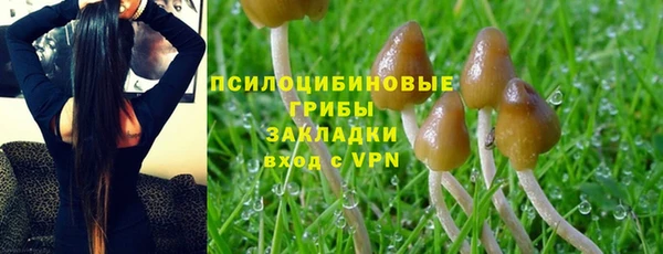 первитин Алексин