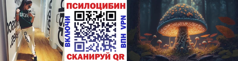 Галлюциногенные грибы Cubensis  Жирновск 